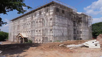 新型建材塑佛國 超越鋼筋水泥的綠色建筑探索